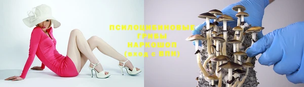 дурь Балахна