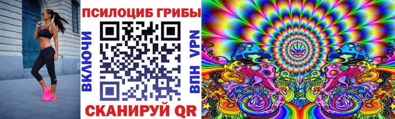 Псилоцибиновые грибы Psilocybe Купить Великие Луки